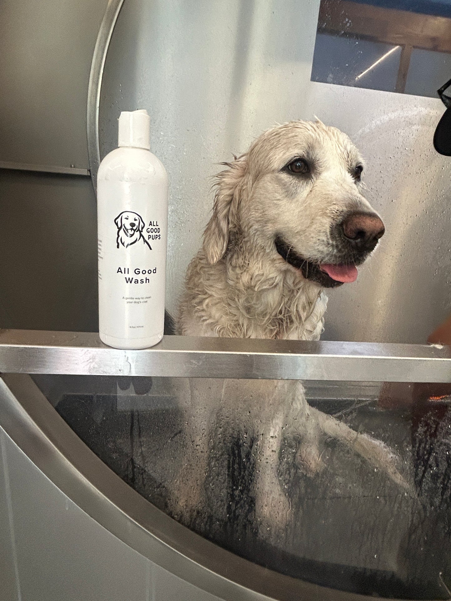 All Good Wash — Gentle Dog Shampoo